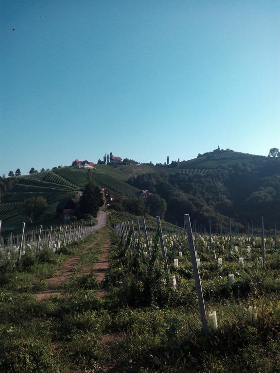 Gaestehaus Grasch Kitzeck im Sausal Esterno foto
