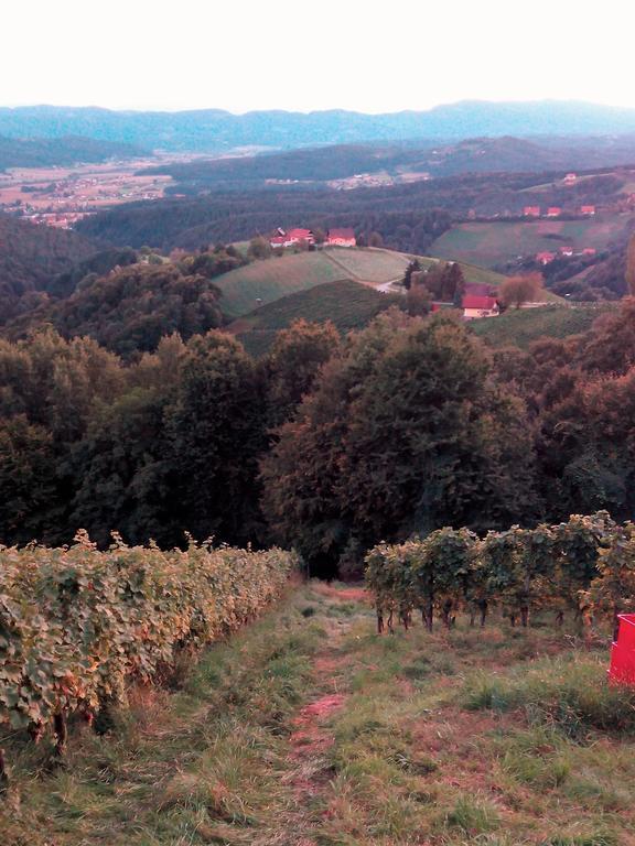 Gaestehaus Grasch Kitzeck im Sausal Esterno foto